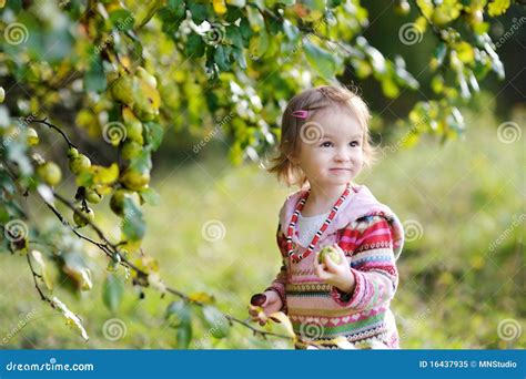 Adorable Toddler Girl Outdoors Stock Image Image Of Golden Enjoying