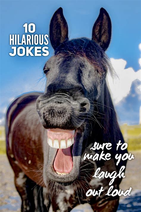 Funny Jokes Sure To Make You Laugh Laugh Poster