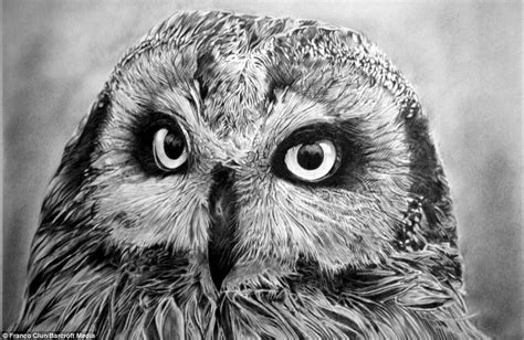 Owl Pencil Drawing By Franco Clun Pencil Drawings Of Animals
