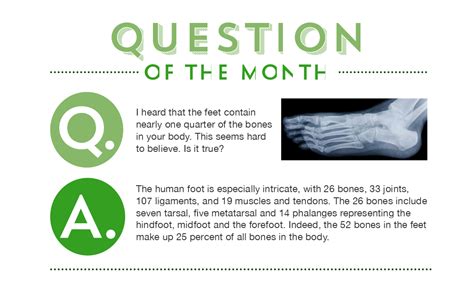 82 inches is equal to 1 0.146341463414634 feet. How many bones are in your feet? Read more in our March ...