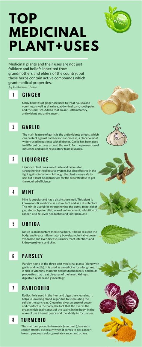 Healing Plants Natural Healing Herbal Remedies Health Remedies