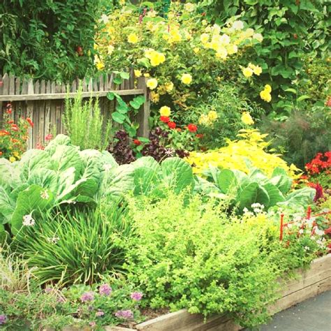 All About Edible Landscaping · All Around The House