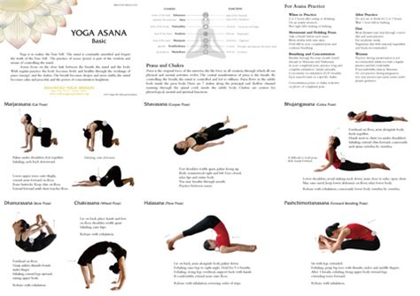 We did not find results for: Yoga Asana Basic