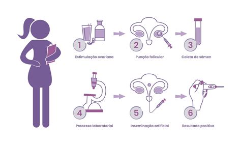 Inseminação Artificial Como Funciona