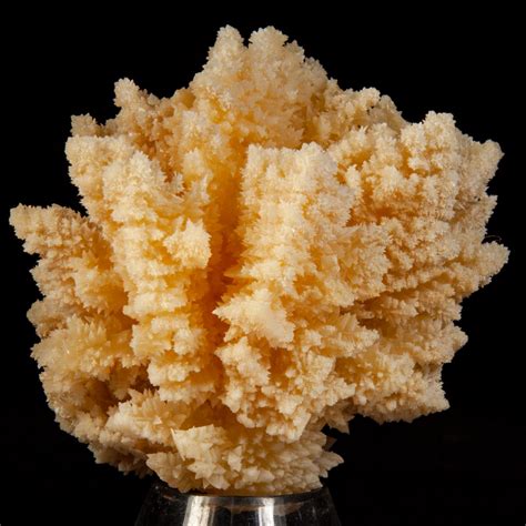 Aragonite On Calcite Mineral Specimen For Sale