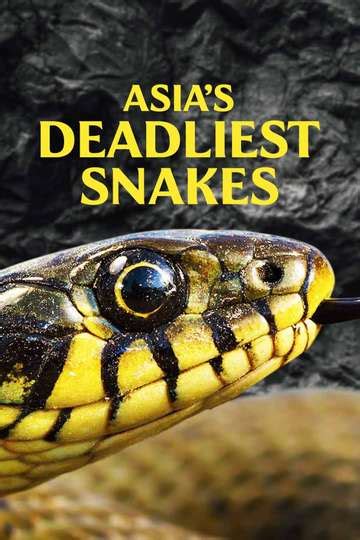 Asias Deadliest Snakes Cast And Crew Moviefone