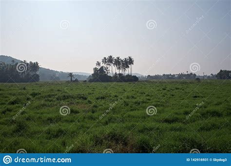 Horizontal Landscape Of Green Meadows With A Backdrop Of Tropical