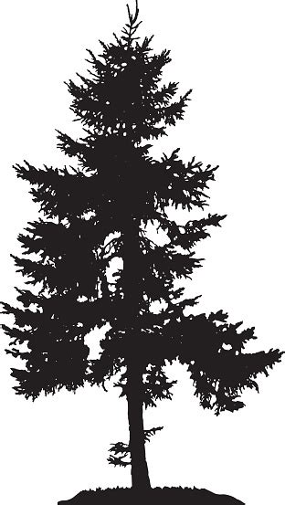 Save with up to 50% off volume discounts. Pine Tree Silhouette Stock Illustration - Download Image ...