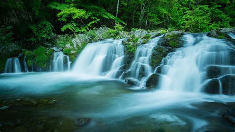 Beautiful Forest Waterfall Wallpaper Nature And Landscape Wallpaper