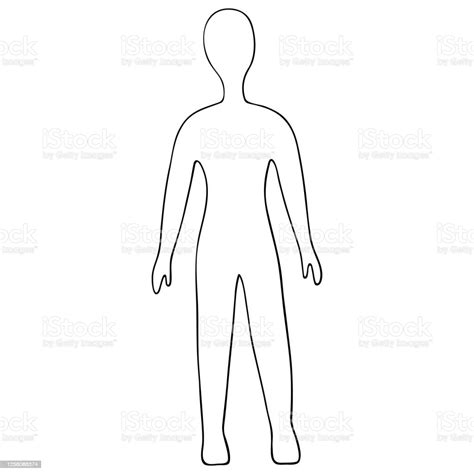 Fulllength Human Figure Sketch Body Positive Front View Vector