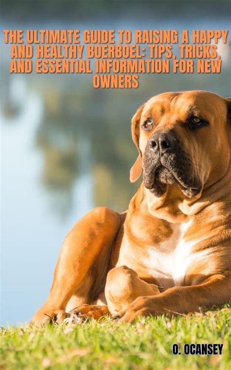 The Ultimate Guide To Raising A Happy And Healthy Boerboel Tips