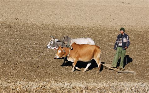 27 Children Chronically Malnourished In Myanmar Dry Zone Survey