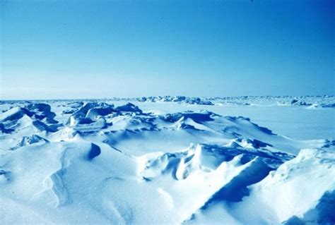 Arctic Activity Heating Up