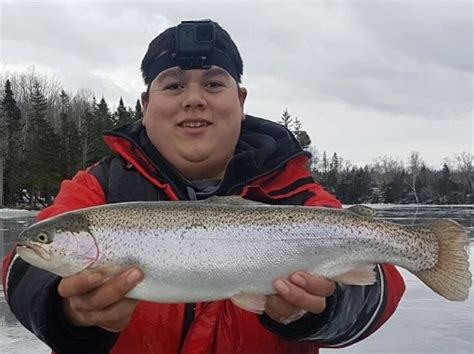 Brook trout fish trophy 20 fiberglass taxidermy fish mount replica. Good Catch: A 20" Rainbow Caught Ice Fishing The Bra D'Or ...