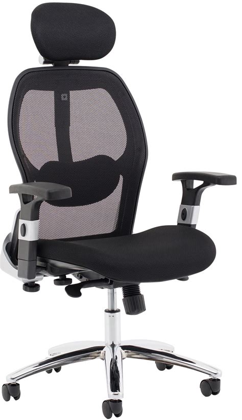 Ergonomic chairs come with two different types of backrests: Darwin Ergonomic Mesh Task Chair | Executive Office Chairs