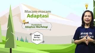 Terdapat 5 ruang lingkup materi. Soal Ipa Kelas 6 Ruang Guru