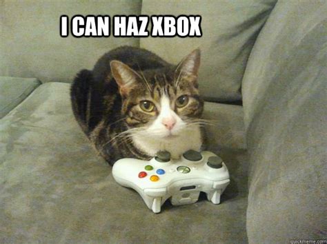 Xbox Funny Xbox 1080x1080 Pictures Cute Kitten Playing Xbox Weird