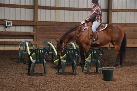 Working Equitation And Trail Obstacles — Rebekah Halladay Training
