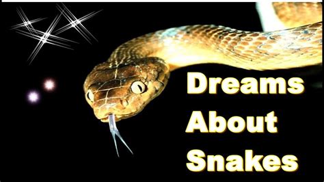 Dreams about snakes | dream meaning & dream interpretation - YouTube