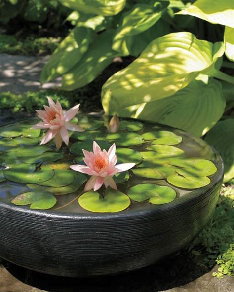 30 Beautiful Backyard Ponds And Water Garden Ideas