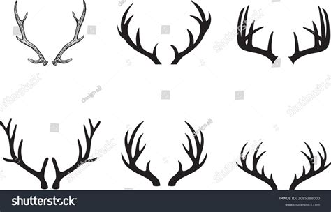 Deer Antler Illustration