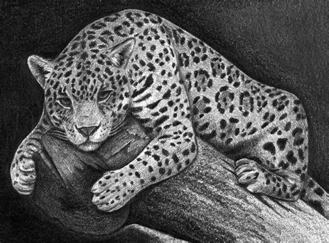 How to draw a car jaguar easy step by step | easy drawing tutorial. How To Draw A Jaguar, Step by Step, Drawing Guide, by ...