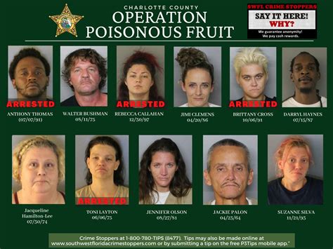 7 suspects still wanted in Charlotte County Sheriff's Office's