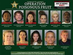 Virginia S Mugshot Menagerie A Gallery Of Unique And Unforgettable Arrests