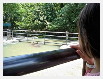 ..episodes of our life..: ..satu hari di zoo negara..