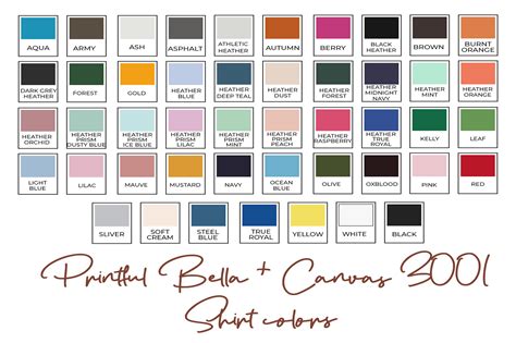 Bella Canvas 3001 Color Chart Graphic By Evarpatrickhg65 Creative Fabrica