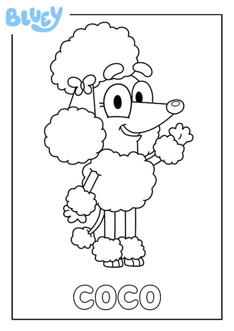 Print Your Own Colouring Sheet Of Blueys Friend Coco In 2021 1st Boy