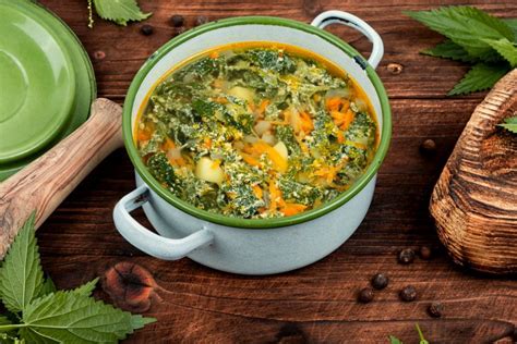 Щи из крапивы – простой и вкусный рецепт, как приготовить пошагово