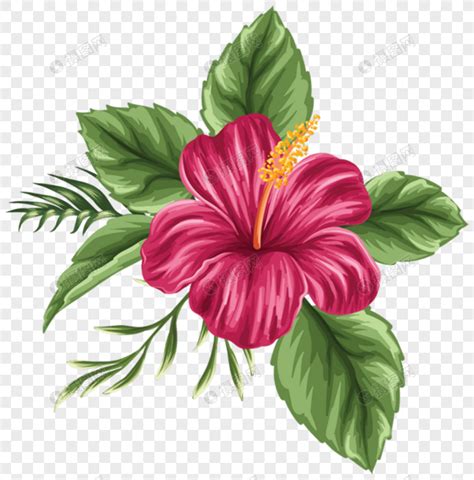 Wow 18 Lukisan Bunga Raya Yang Mudah Gambar Bunga Indah