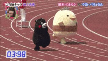 Races GIFs Find Share On GIPHY
