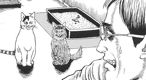 Junji Itos Cat Diary Yon And Mu — Experiments In Manga