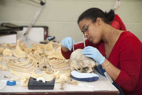 Csi Bu Offers Nations Only Masters In Forensic Anthropology Boston