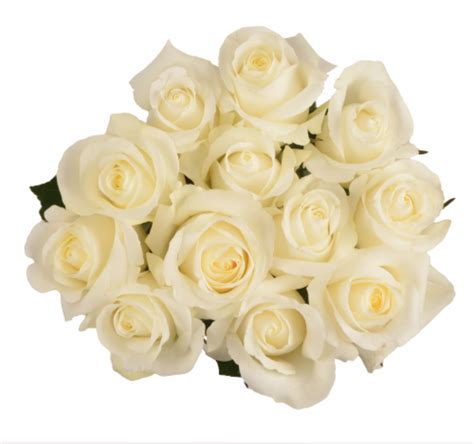 Bloom Haus White Dozen Rose Bouquet 12 Stem Pick ‘n Save