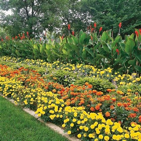 20 Super Beautiful Orange Garden Color Inspiration