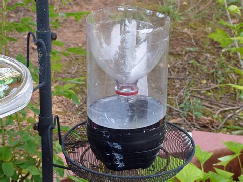 How to trap and catch badger with foothold trap with clint locklear in texas while trapping for predator control. Homemade Wasp Trap Instructions - How To Make A Homemade ...