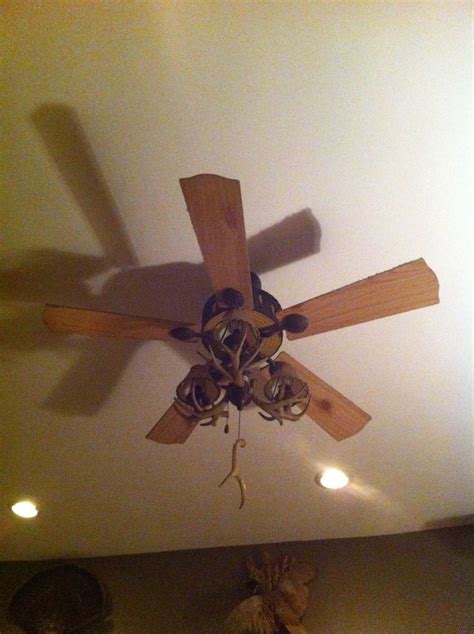 People use deer antlers for a number of reasons. Deer antler ceiling fans - Best one for your home ...