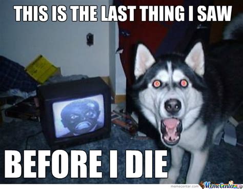 Cursed Dog By Agathor Meme Center