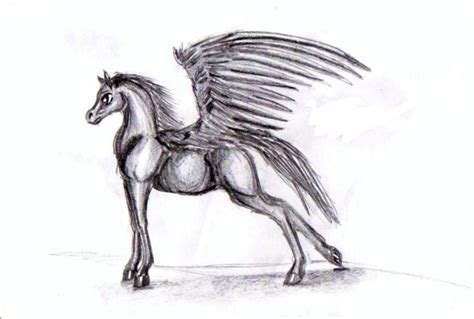 Winged Anime Ish Horse By Awesomeponytail On Deviantart