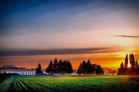 Fields Trees Plants Sunrise Nature Fog Countryside Sky Clouds