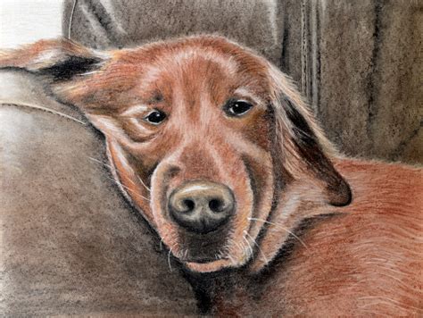 Ontdek de perfecte stockfoto's over golden retriever illustration en redactionele nieuwsbeelden blader door de 909 golden retriever illustration beschikbare stockfoto's en beelden, of begin een. Golden Retriever Pastel Illustration Stock Illustration ...