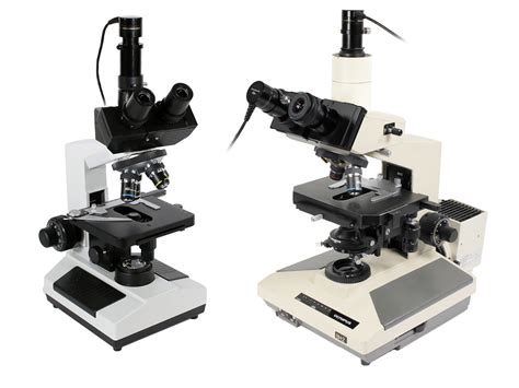 Counting Blood Cells With Dino Lite Microscopes