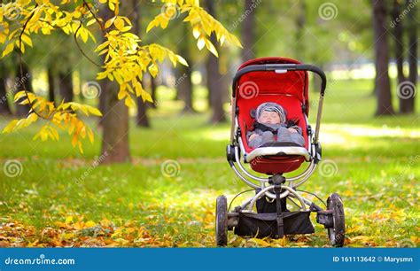 Baby Sleeping In Stroller In Park Stock Photo Image Of Portrait