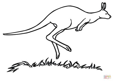 Dibujo De Marsupial Canguro Para Colorear Dibujos Para Colorear