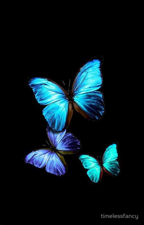 Blue Butterfly By Timelessfancy Blue Butterfly Wallpaper Butterfly