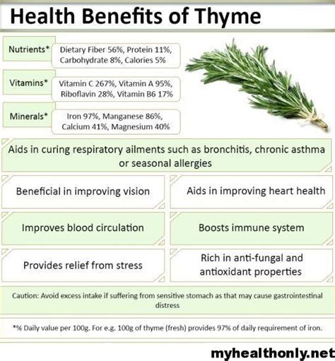 8 Impressive Health Benefits Of Thyme You Must To Know My Health Only