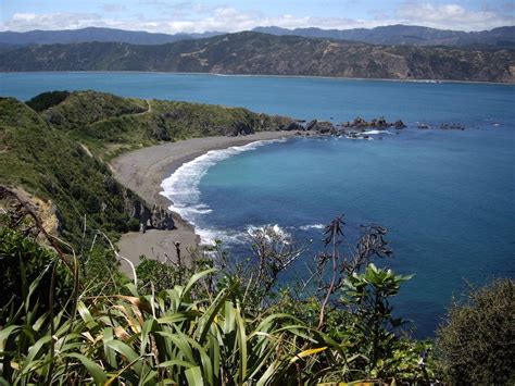 10 Best Nude Beaches New Zealand Has On Offer Clothes Optional New